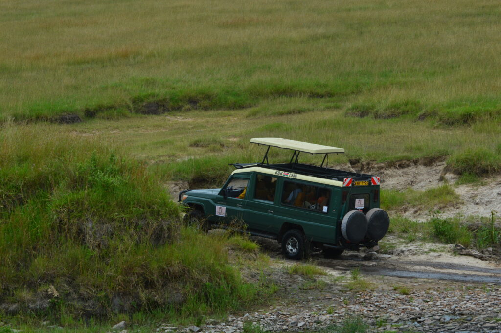 SAFARIS BY ROAD