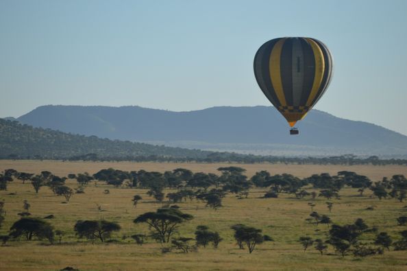 FLY-IN SAFARIS